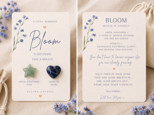 BLOOM Pocket Hug Crystals (AVENTURINE & SODALITE)