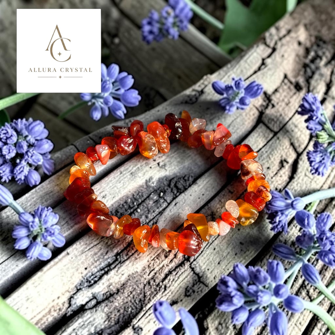 The Wildflower Collection