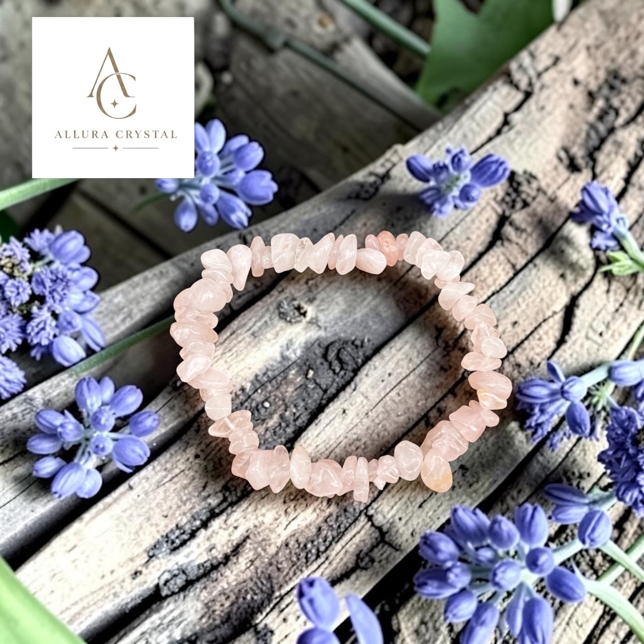 The Wildflower Collection