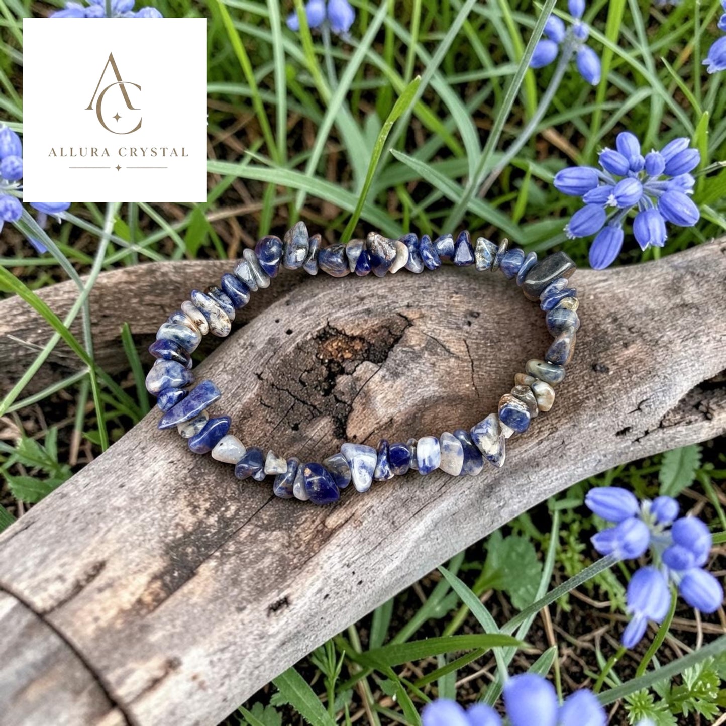 The Wildflower Collection